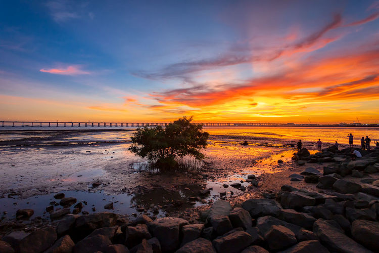 Scenic view of sea during sunset