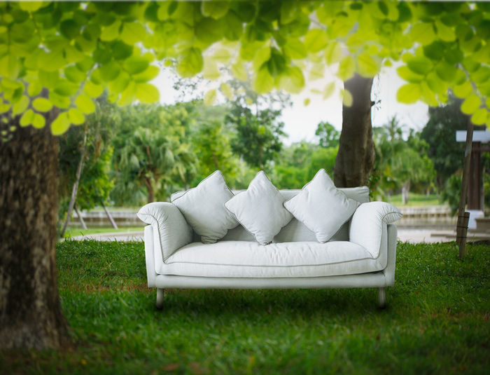 Lounge chairs on sofa in park