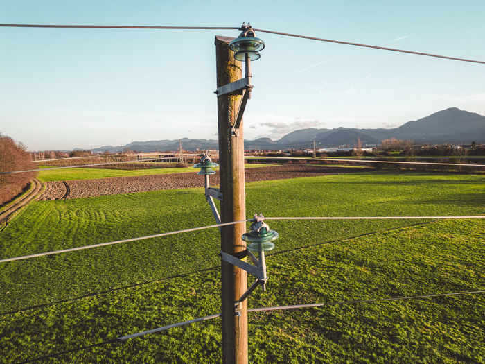 Scenic view of agricultural field
