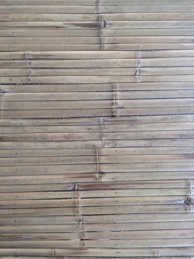 Full frame shot of wooden wall