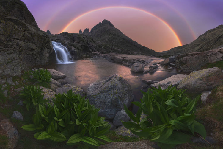 Scenic view of sierra de gredos with cascade and false hellebores growing under purple sky with rainbow in twilight