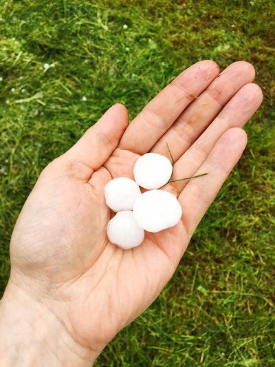 Cropped hand of woman holding hailstones over grassy field