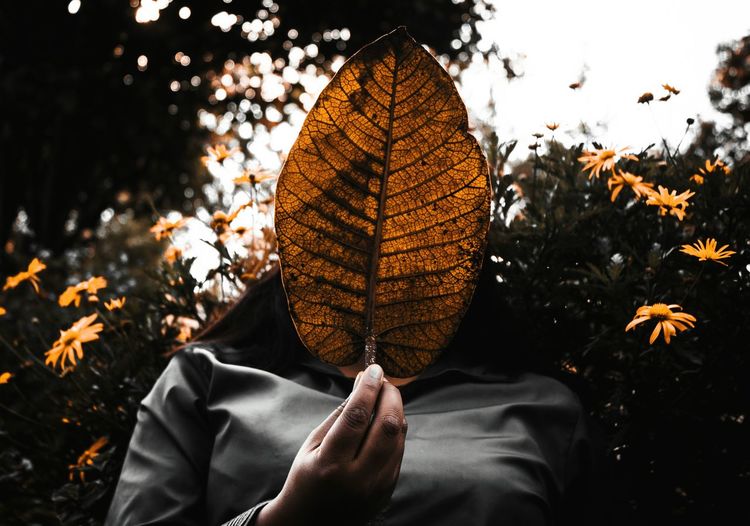 Portrait of person holding autumn leaves