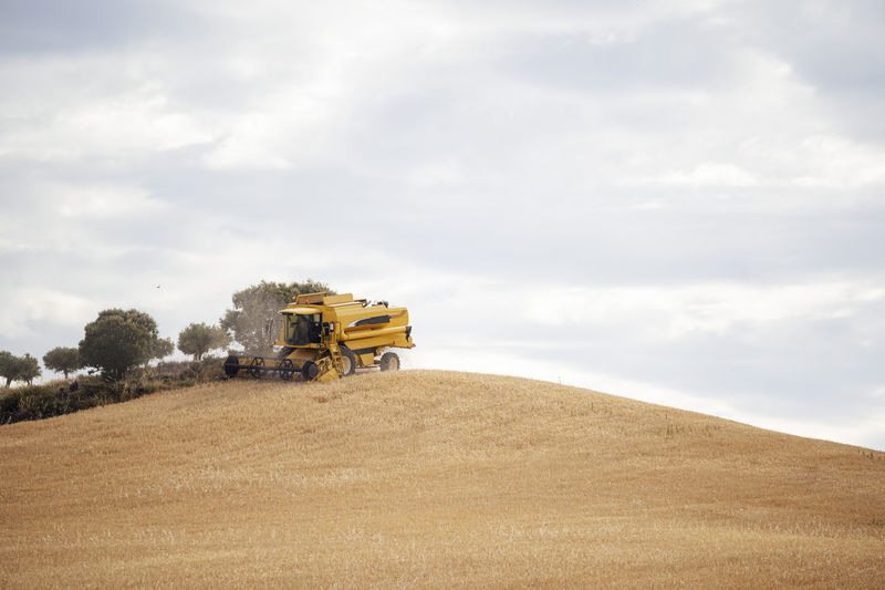 Distant industrial combine harvester collecting dried grain crops while driving on agricultural field with tree in countryside during harvesting season