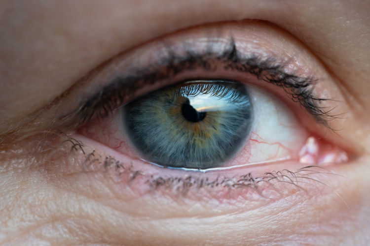 Extreme close-up of human eye
