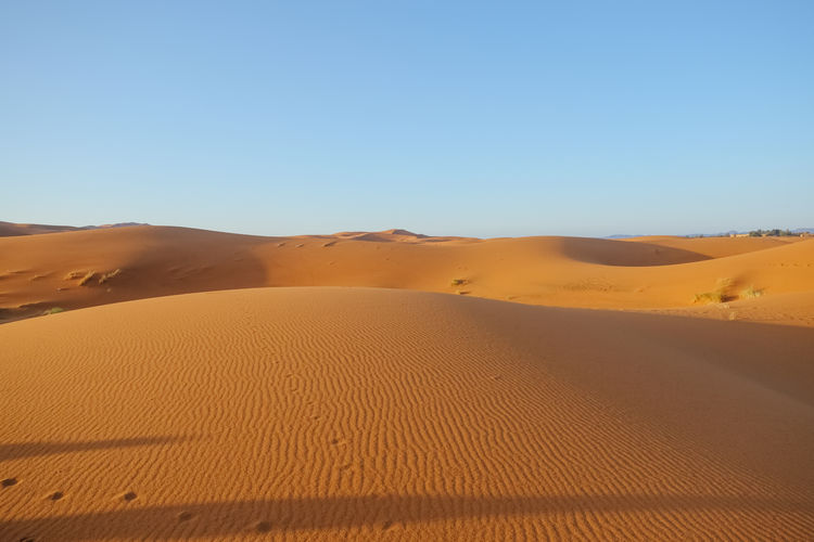 Erg chebbi sand dunes against clear blue sky in sahara desert. merzouga, morocco.