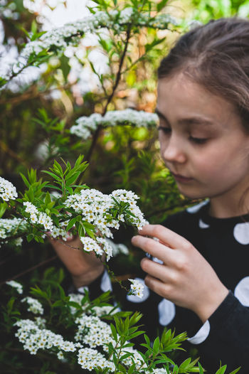 Young girl admiring tiny white spring flowers known as bridal wreath. blooming spiraea in garden.