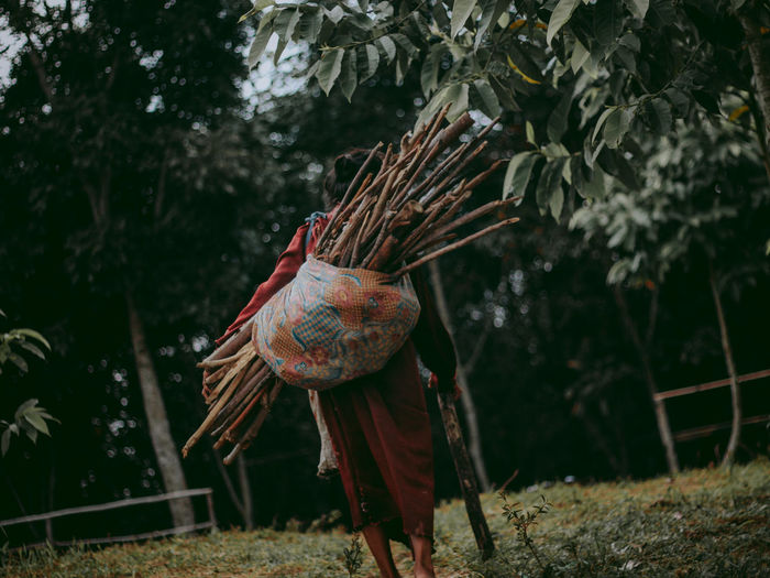 Rear view of woman carrying sticks outdoors