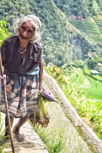 Senior woman holding crop while walking on rice paddy