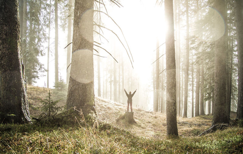 Woman in forest against sky