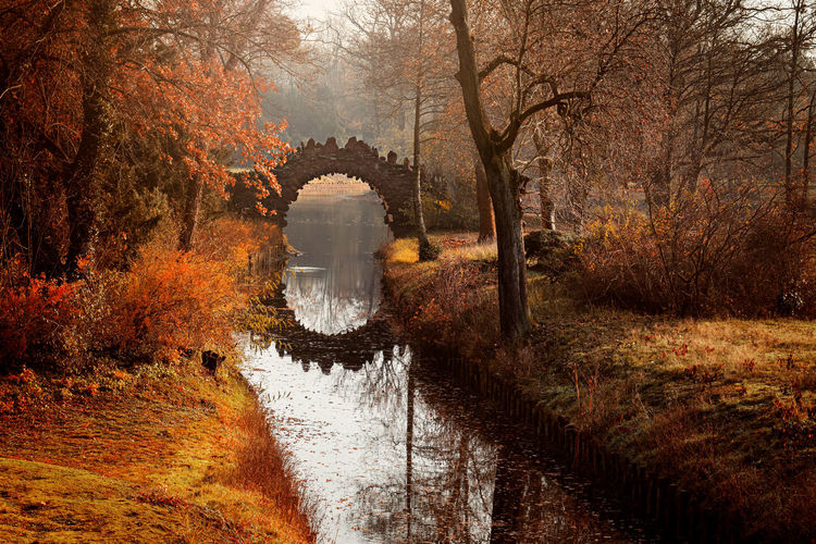 Reflection of trees and bridge in river during autumn
