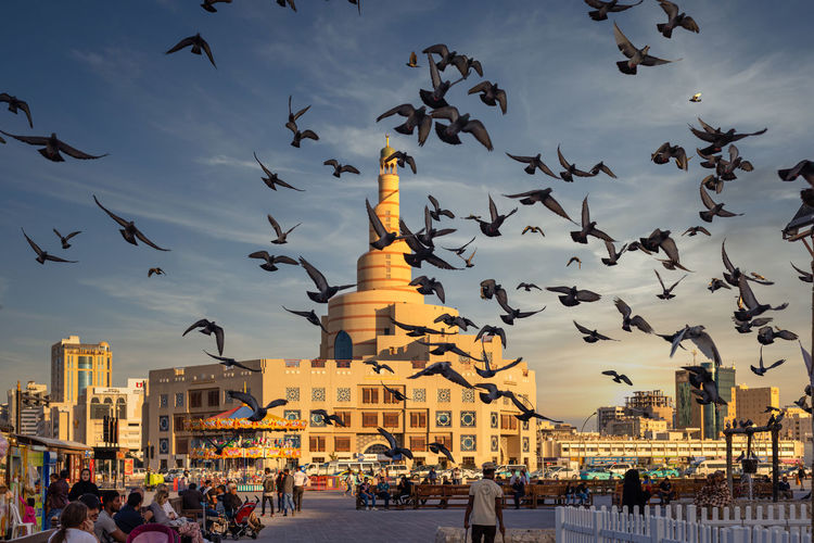Al-fanar qatar islamic cultural center daylight exterior view with pigeons flying in the sky 