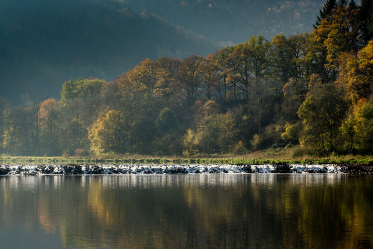 Scenic view of lake by trees against sky