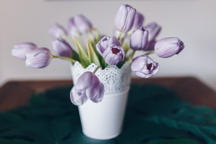 Close-up of purple tulips in vase