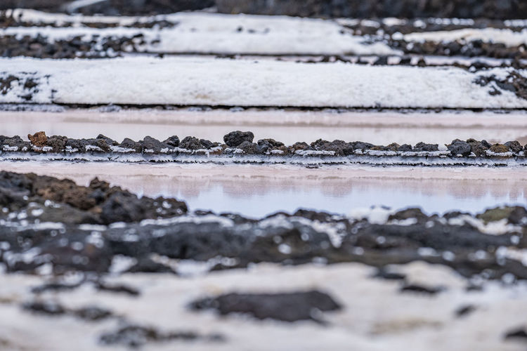 Close-up of rocks on snow covered land