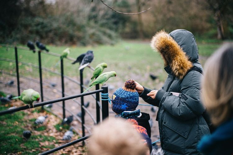 Rear view of people photographing birds