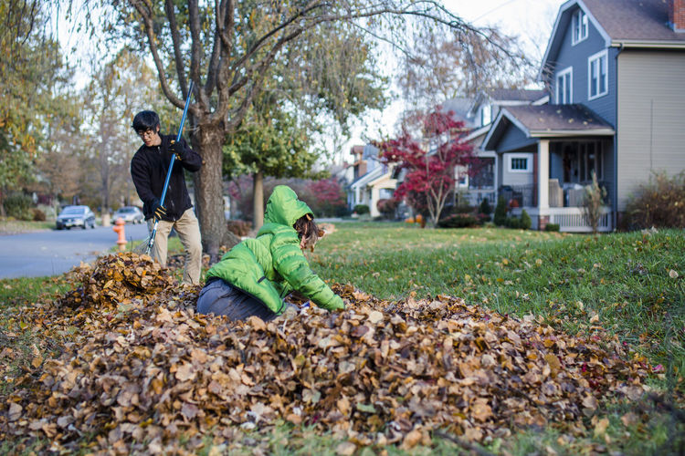 A young boy jumps in a pile of leaves his father is trying to rake