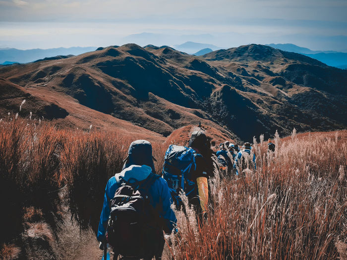 Rear view of people hiking on mountain
