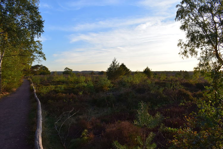 Scenic view of land against sky