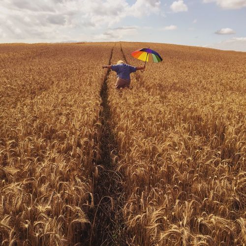 Woman on a wheat field with multicolored umbrella