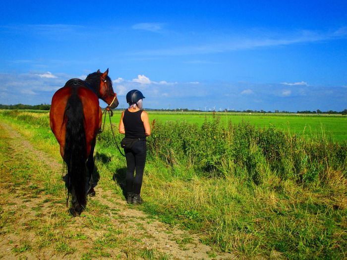 Full length of woman with horse by plants against sky