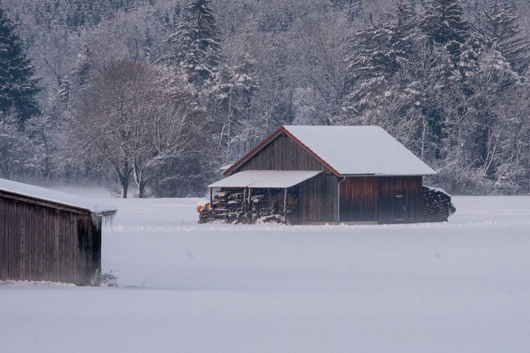 Barns in winter with forest in background