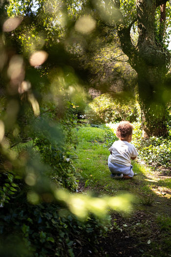Toddler boy explores nature in city park