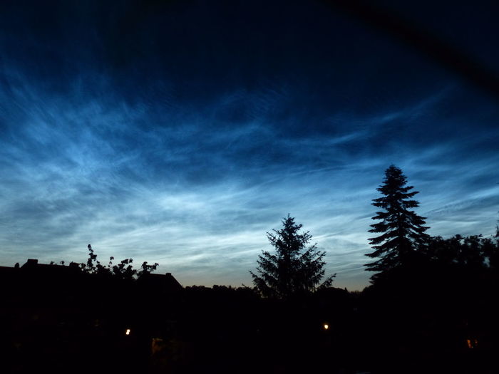 Low angle view of silhouette trees against sky at night