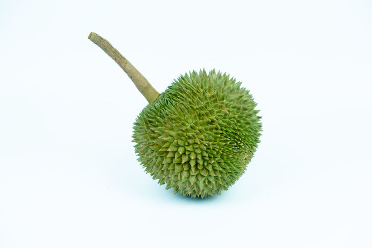 Close-up of fruit against white background