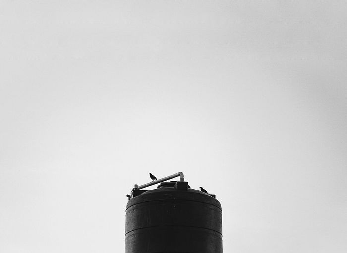 Low angle view of bird perching on water tank
