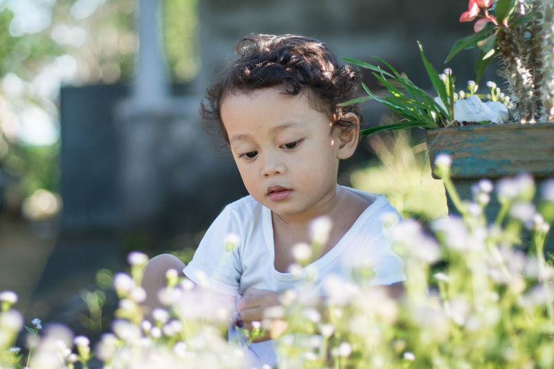 Portrait of cute boy in the backyard