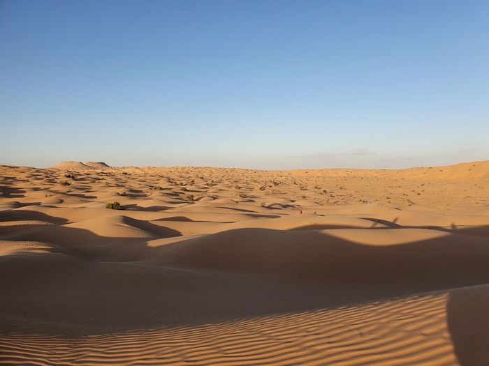 The vastness of the sahara desert