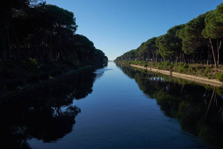 Reflection of trees in water against sky