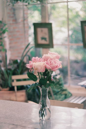 Close-up of pink flower vase on table