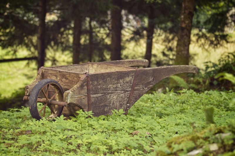 Close-up of rusty abandoned on field