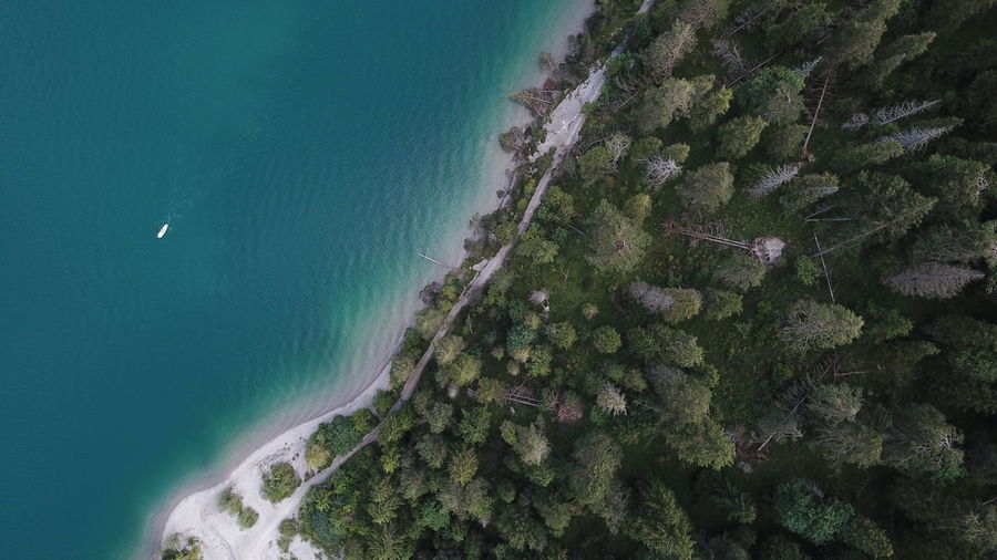 Aerial view of lake by forest