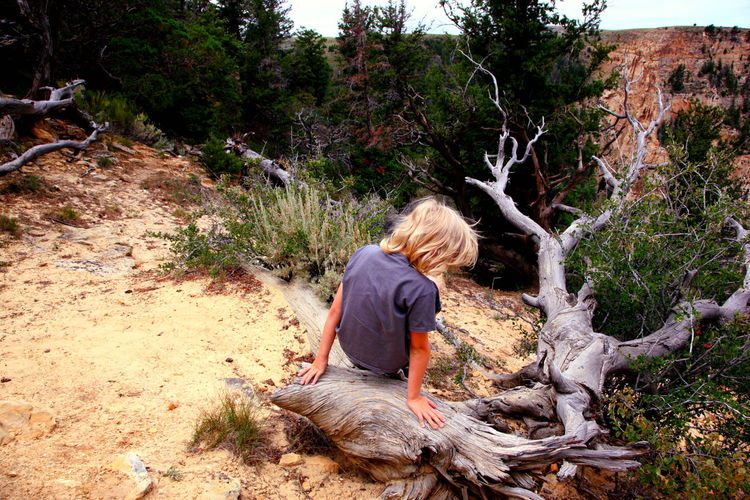 Rear view of boy on driftwood at dinosaur national monument
