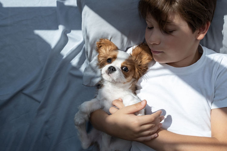 Boy with a dog in bed in morning. sleep with pets. cute puppy cavalier king charles spaniel