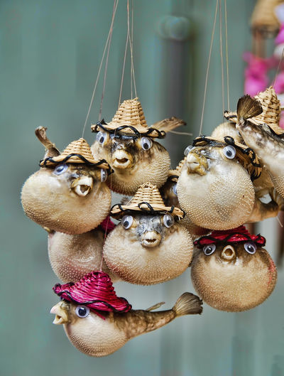 Close-up of stuffed toy hanging