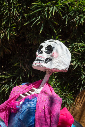 Catrina skull from mexico