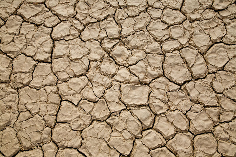 Close-up of cracked land