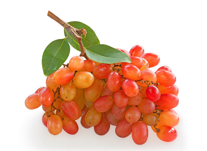 Close-up of berries against white background