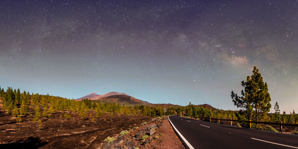 Road amidst trees against sky at night