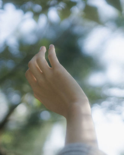 Close-up of person hand on plant