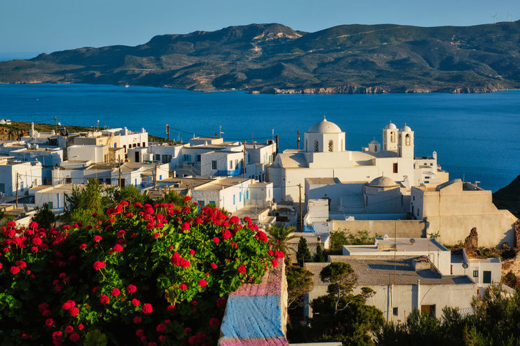 Picturesque scenic view of greek town plaka on milos island over red geranium flowers