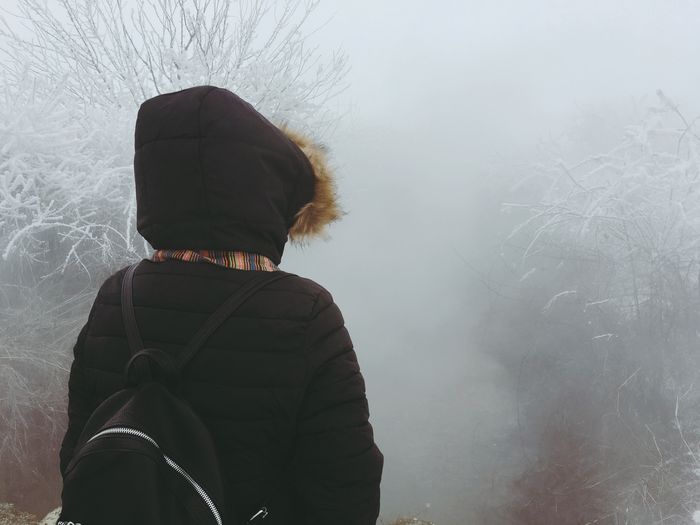 Rear view of person wearing hooded jacket standing amidst bare trees during foggy weather