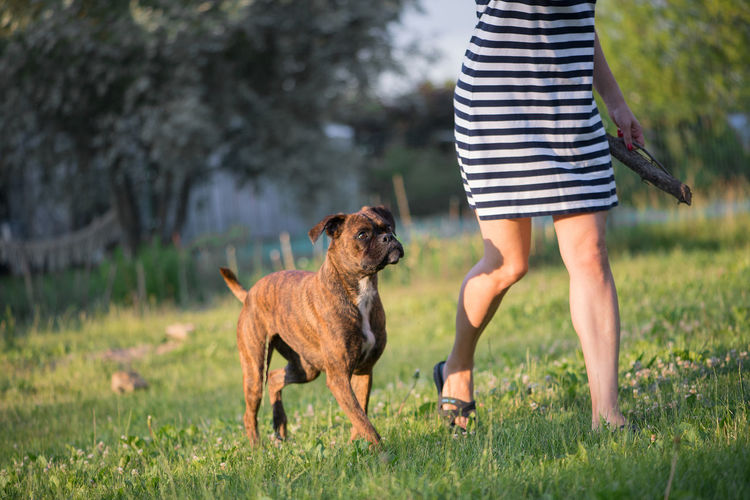 Woman and boxer-dog running outdoor