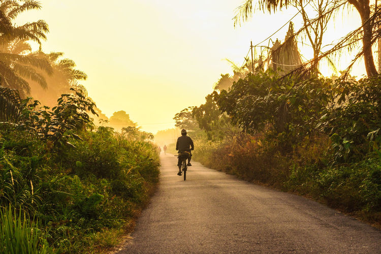 Bicycling on narrow road along plants