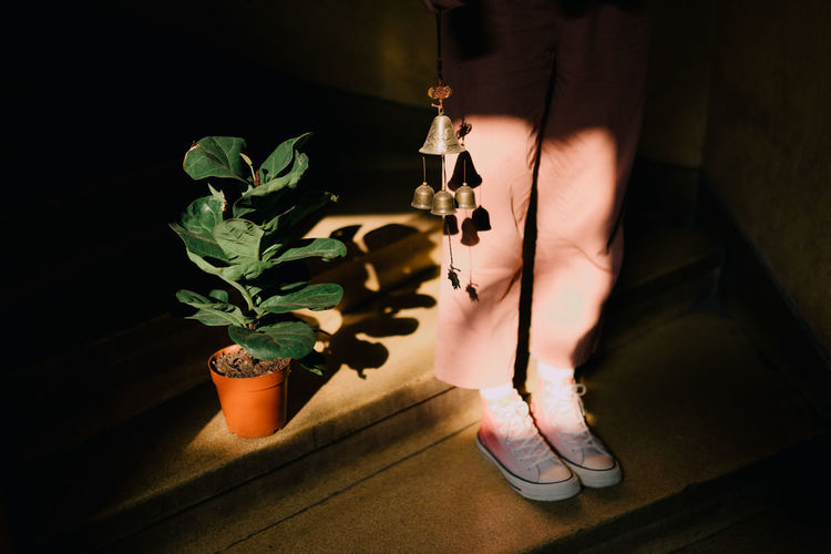 LOW SECTION OF WOMAN STANDING ON POTTED PLANTS