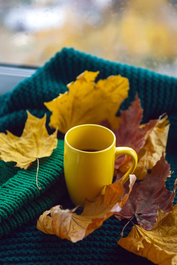 Yellow mug with tea and yellow maple leaves stands on a white window in autumn